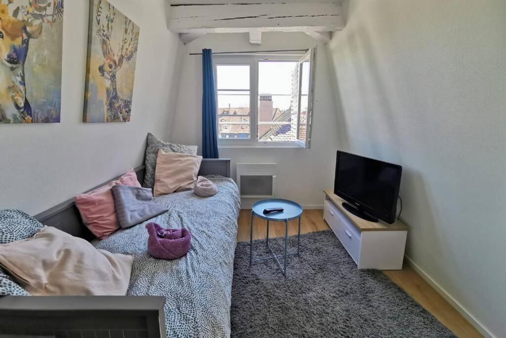 ** Appartement Cathedrale Strasbourg Centre** Eksteriør billede